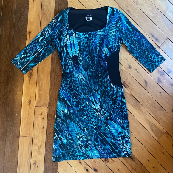 NueVa Blue Animal Print Scoop Neck Ruched Waist Lined Pullover Dress Siz… - Picture 7 of 13